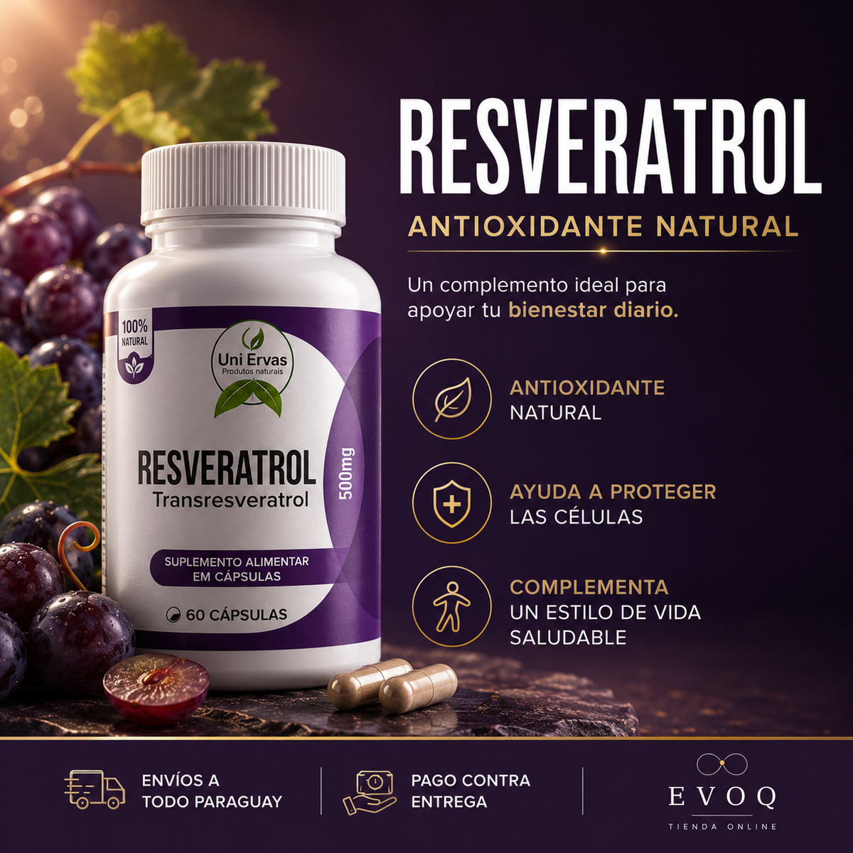 Resveratrol Antioxidante | 60 Cápsulas