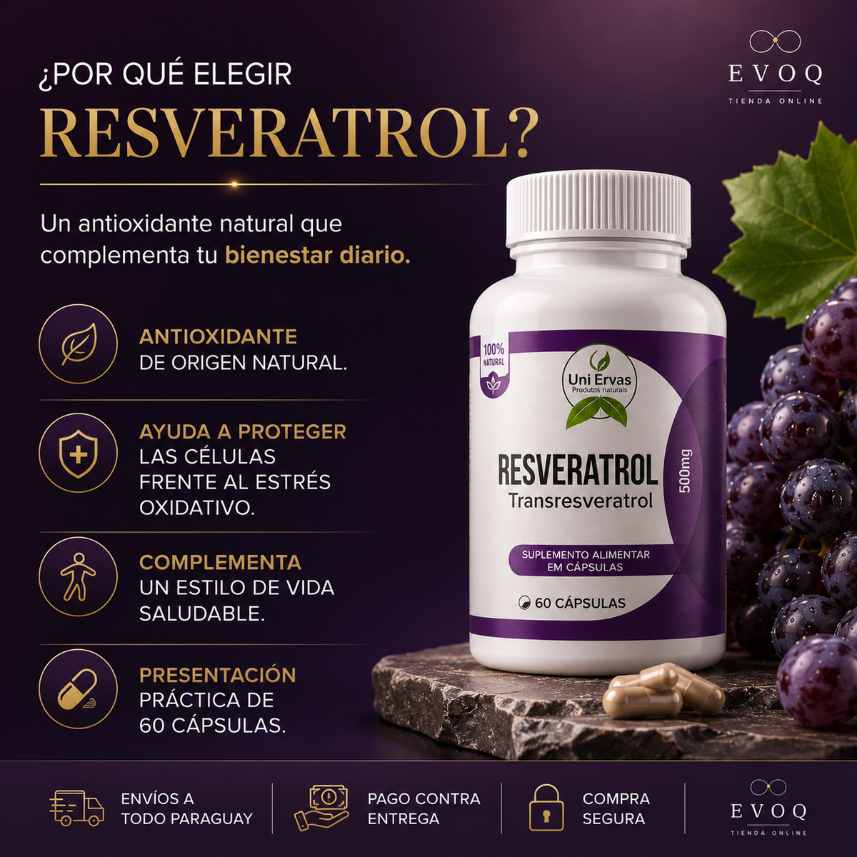Resveratrol Antioxidante | 60 Cápsulas